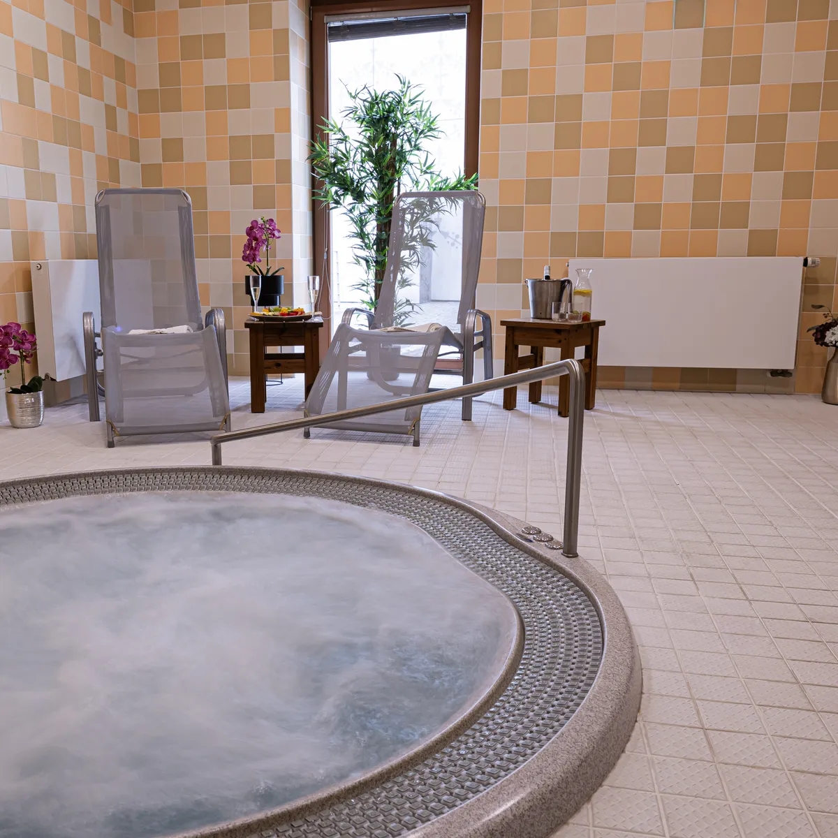Wellness